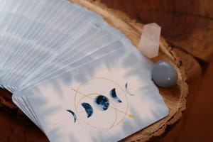 KinAccess Sabine Fersino Oupeye